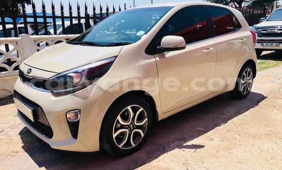 Buy Used Kia Picanto White Car in Gobabis in Omaheke Buy Used Kia Picanto White Car in Gobabis in Omaheke