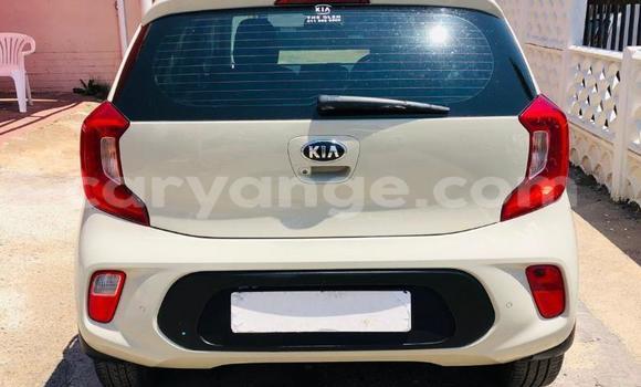 Buy Used Kia Picanto White Car in Gobabis in Omaheke Buy Used Kia Picanto White Car in Gobabis in Omaheke