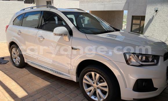 Buy Used Chevrolet Captiva White Car in Windhoek in Namibia Buy Used Chevrolet Captiva White Car in Windhoek in Namibia