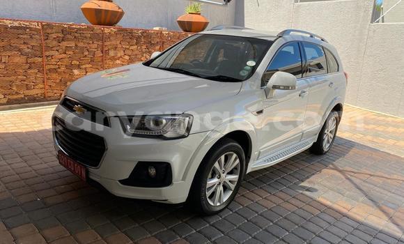 Buy Used Chevrolet Captiva White Car in Windhoek in Namibia Buy Used Chevrolet Captiva White Car in Windhoek in Namibia