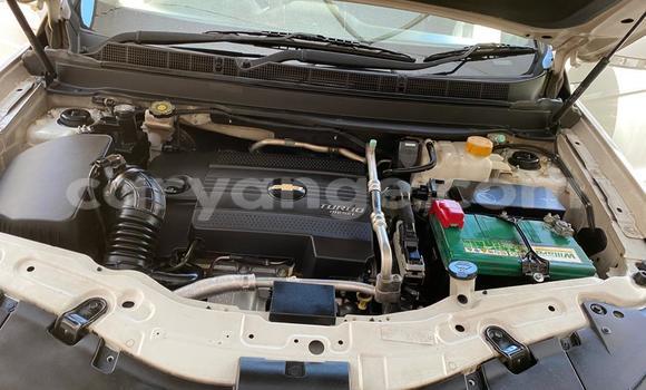 Buy Used Chevrolet Captiva White Car in Windhoek in Namibia Buy Used Chevrolet Captiva White Car in Windhoek in Namibia
