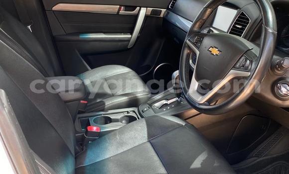 Buy Used Chevrolet Captiva White Car in Windhoek in Namibia Buy Used Chevrolet Captiva White Car in Windhoek in Namibia