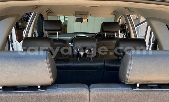 Buy Used Chevrolet Captiva White Car in Windhoek in Namibia Buy Used Chevrolet Captiva White Car in Windhoek in Namibia