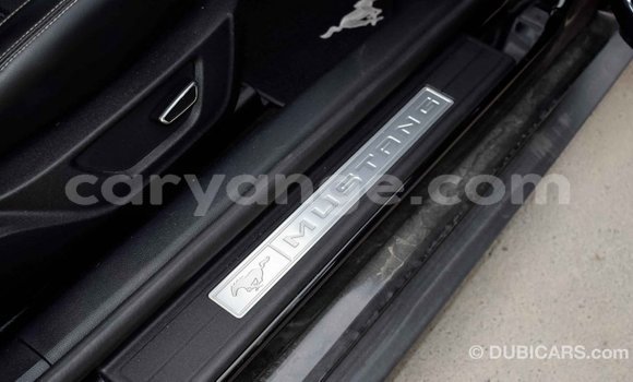 Acheter Import Voiture Ford Mustang Noir à Import - Dubai, Namibie Acheter Import Voiture Ford Mustang Noir à Import - Dubai, Namibie