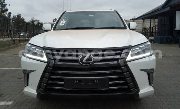 Acheter Occasion Voiture Lexus LX Blanc à Windhoek, Namibie