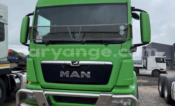 Buy Used Man M2000 Green Truck in Gobabis in Omaheke