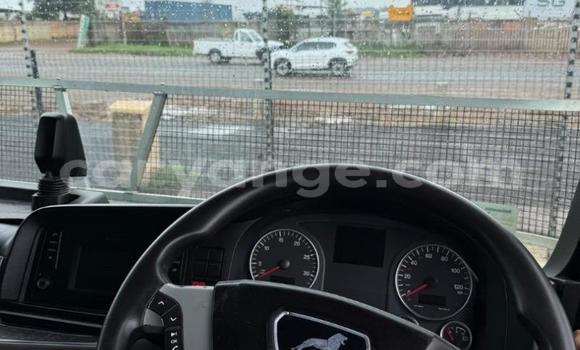 Buy Used Man M2000 Green Truck in Gobabis in Omaheke Buy Used Man M2000 Green Truck in Gobabis in Omaheke