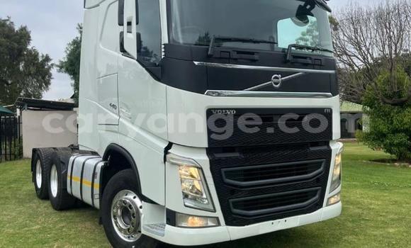 Buy Used Volvo FH10 White Truck in Gobabis in Omaheke