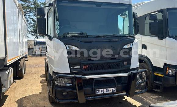 Buy Used Scania R420 White Truck in Gobabis in Omaheke Buy Used Scania R420 White Truck in Gobabis in Omaheke