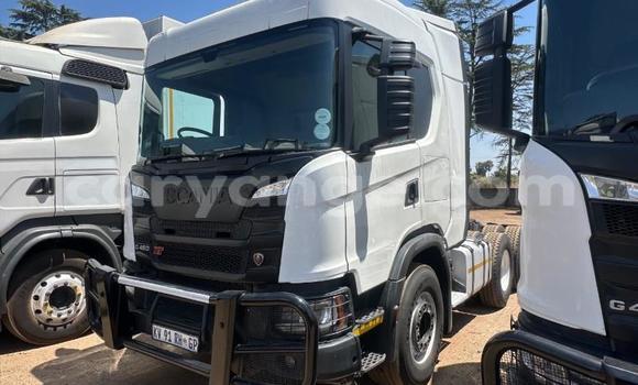 Buy Used Scania R420 White Truck in Gobabis in Omaheke Buy Used Scania R420 White Truck in Gobabis in Omaheke
