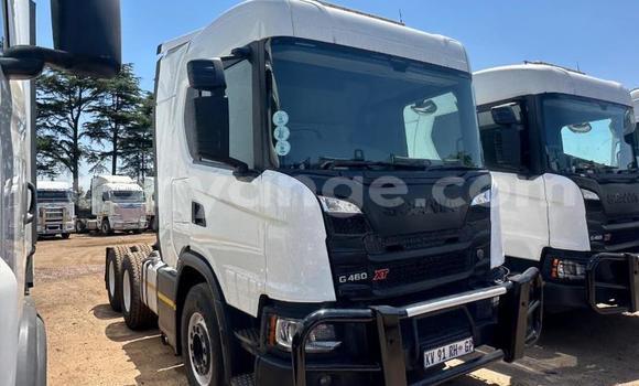 Buy Used Scania R420 White Truck in Gobabis in Omaheke Buy Used Scania R420 White Truck in Gobabis in Omaheke