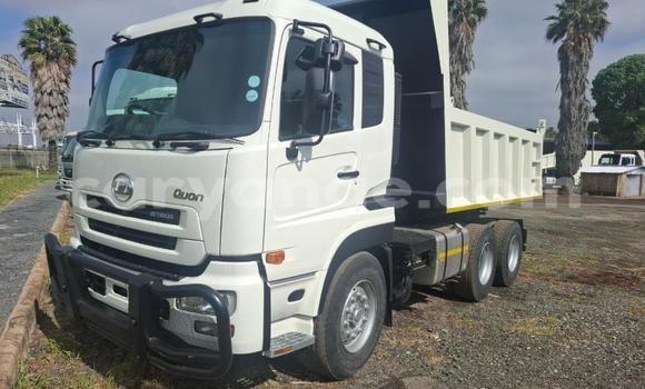 Buy Used Hino 300 Series White Truck in Gobabis in Omaheke
