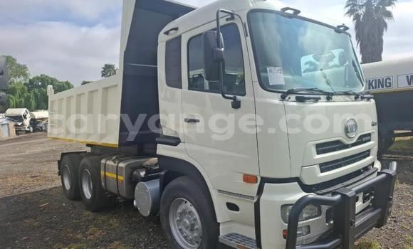 Buy Used Hino 300 Series White Truck in Gobabis in Omaheke Buy Used Hino 300 Series White Truck in Gobabis in Omaheke