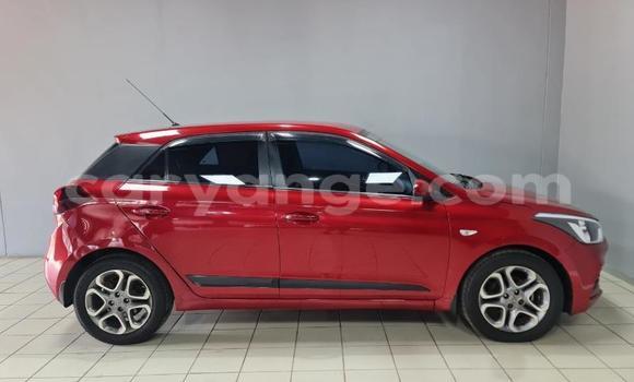 Buy Used Hyundai I20 Red Car in Katima Mulilo in Caprivi Buy Used Hyundai I20 Red Car in Katima Mulilo in Caprivi