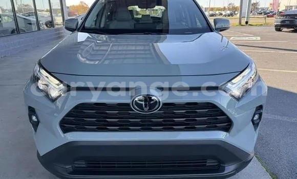 Buy Used Toyota RAV4 Other Car in Gobabis in Omaheke