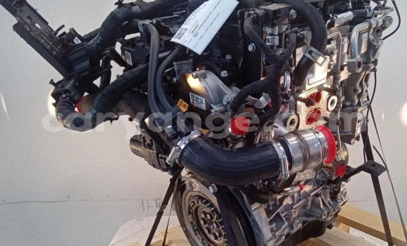 Buy 2021 KIA SPORTAGE 1.6L in Windhoek in Namibia Buy 2021 KIA SPORTAGE 1.6L in Windhoek in Namibia