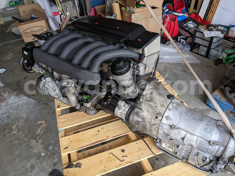 Big with watermark d