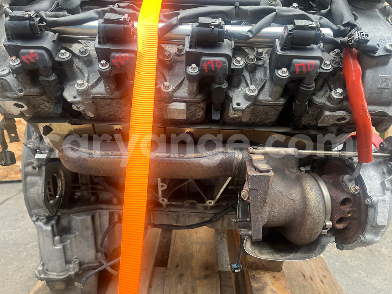 Big with watermark h