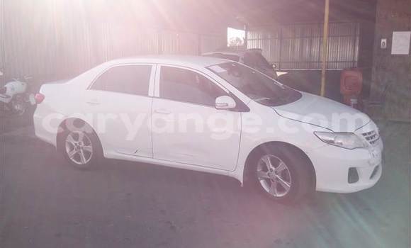 Buy Used Toyota Corolla White Car in Oshakati in Namibia Buy Used Toyota Corolla White Car in Oshakati in Namibia