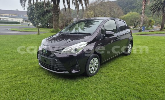 Buy Used Toyota Vitz Black Car in Windhoek in Namibia