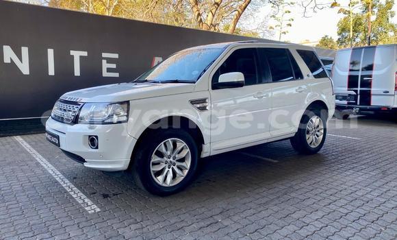 Buy Used Land Rover Freelander White Car in Windhoek in Namibia Buy Used Land Rover Freelander White Car in Windhoek in Namibia