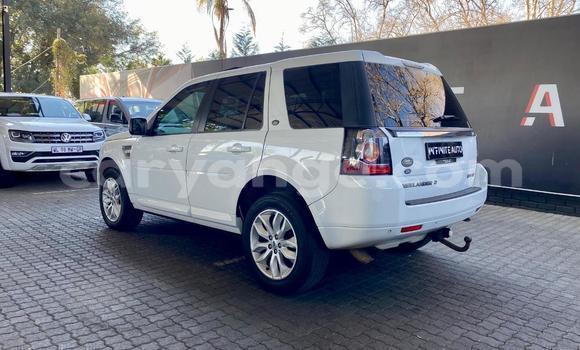 Buy Used Land Rover Freelander White Car in Windhoek in Namibia Buy Used Land Rover Freelander White Car in Windhoek in Namibia
