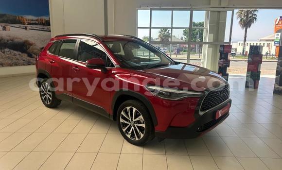 Buy Used Toyota Corolla Cross Red Car in Windhoek in Namibia