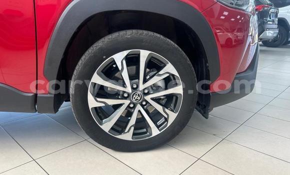 Buy Used Toyota Corolla Cross Red Car in Windhoek in Namibia Buy Used Toyota Corolla Cross Red Car in Windhoek in Namibia