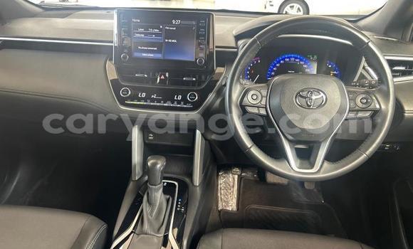 Buy Used Toyota Corolla Cross Red Car in Windhoek in Namibia Buy Used Toyota Corolla Cross Red Car in Windhoek in Namibia