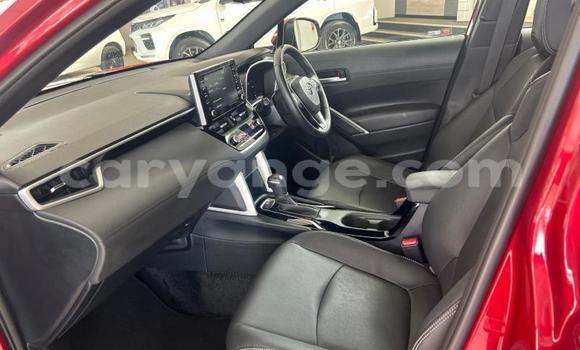 Buy Used Toyota Corolla Cross Red Car in Windhoek in Namibia Buy Used Toyota Corolla Cross Red Car in Windhoek in Namibia