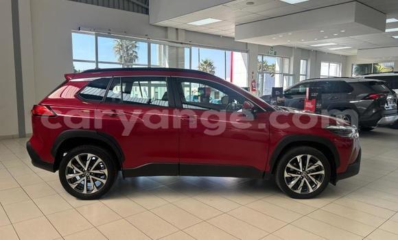 Buy Used Toyota Corolla Cross Red Car in Windhoek in Namibia Buy Used Toyota Corolla Cross Red Car in Windhoek in Namibia