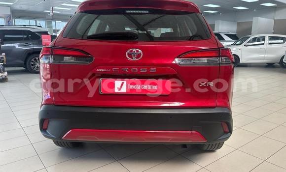 Buy Used Toyota Corolla Cross Red Car in Windhoek in Namibia Buy Used Toyota Corolla Cross Red Car in Windhoek in Namibia