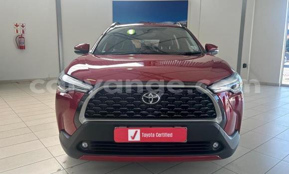 Buy Used Toyota Corolla Cross Red Car in Windhoek in Namibia Buy Used Toyota Corolla Cross Red Car in Windhoek in Namibia