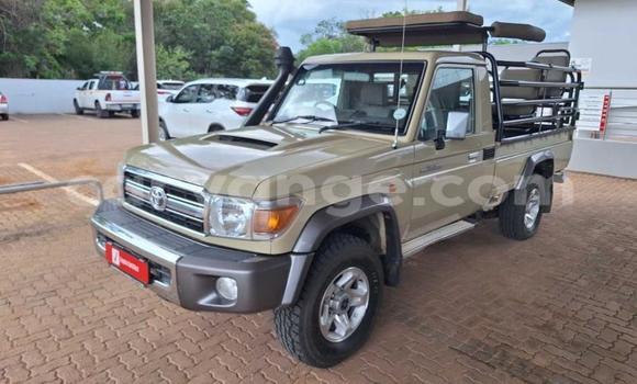 Buy Used Toyota Land Cruiser Beige Car in Windhoek in Namibia