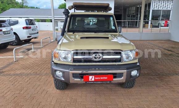 Buy Used Toyota Land Cruiser Beige Car in Windhoek in Namibia Buy Used Toyota Land Cruiser Beige Car in Windhoek in Namibia