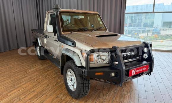 Buy Used Toyota Land Cruiser Brown Car in Windhoek in Namibia