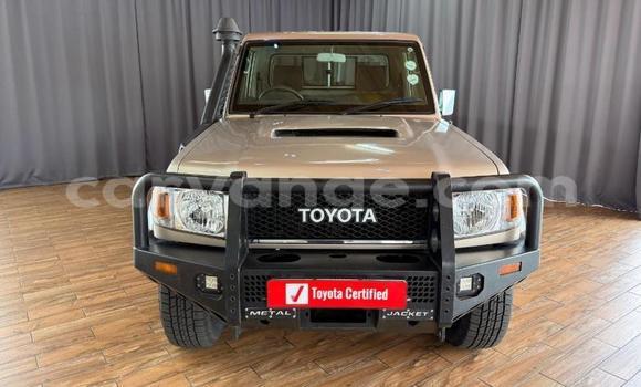 Buy Used Toyota Land Cruiser Brown Car in Windhoek in Namibia Buy Used Toyota Land Cruiser Brown Car in Windhoek in Namibia