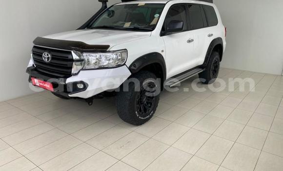 Buy Used Toyota Land Cruiser Prado White Car in Windhoek in Namibia