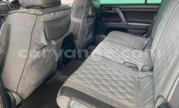 Buy Used Toyota Land Cruiser Prado White Car in Windhoek in Namibia Buy Used Toyota Land Cruiser Prado White Car in Windhoek in Namibia