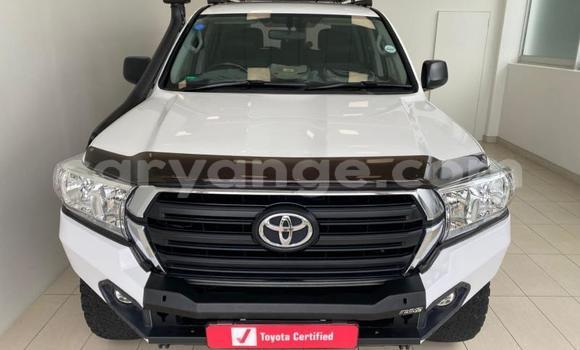 Buy Used Toyota Land Cruiser Prado White Car in Windhoek in Namibia Buy Used Toyota Land Cruiser Prado White Car in Windhoek in Namibia