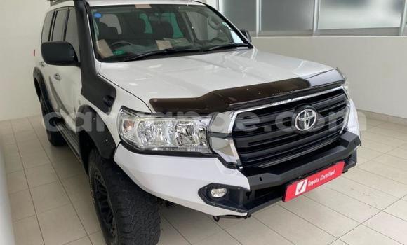 Buy Used Toyota Land Cruiser Prado White Car in Windhoek in Namibia Buy Used Toyota Land Cruiser Prado White Car in Windhoek in Namibia