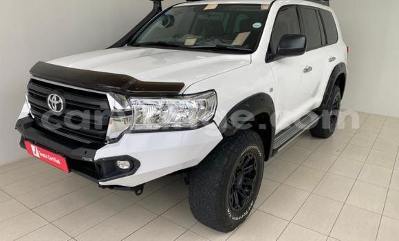 Buy Used Toyota Land Cruiser Prado White Car in Windhoek in Namibia Buy Used Toyota Land Cruiser Prado White Car in Windhoek in Namibia