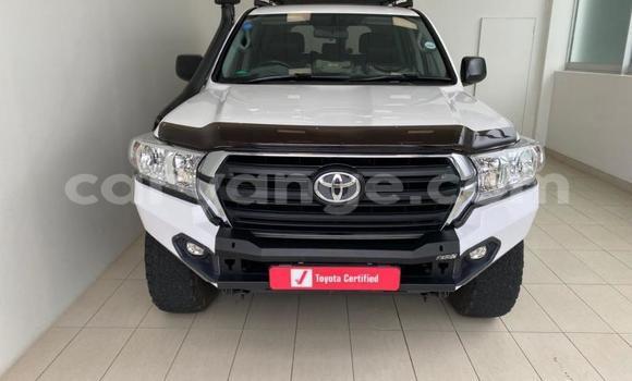 Buy Used Toyota Land Cruiser Prado White Car in Windhoek in Namibia Buy Used Toyota Land Cruiser Prado White Car in Windhoek in Namibia