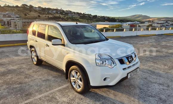 Buy Used Nissan X–Trail White Car in Windhoek in Namibia