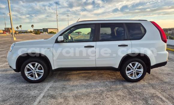Buy Used Nissan X–Trail White Car in Windhoek in Namibia Buy Used Nissan X–Trail White Car in Windhoek in Namibia