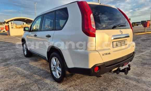 Buy Used Nissan X–Trail White Car in Windhoek in Namibia Buy Used Nissan X–Trail White Car in Windhoek in Namibia
