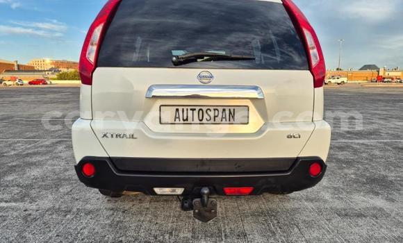 Buy Used Nissan X–Trail White Car in Windhoek in Namibia Buy Used Nissan X–Trail White Car in Windhoek in Namibia
