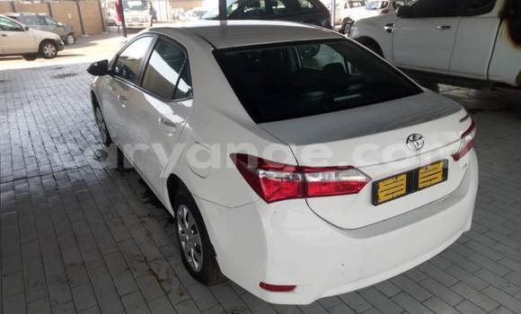 Acheter Occasion Voiture Toyota Corolla Blanc à Gobabis, Omaheke Acheter Occasion Voiture Toyota Corolla Blanc à Gobabis, Omaheke