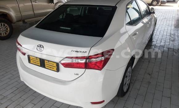 Acheter Occasion Voiture Toyota Corolla Blanc à Gobabis, Omaheke Acheter Occasion Voiture Toyota Corolla Blanc à Gobabis, Omaheke