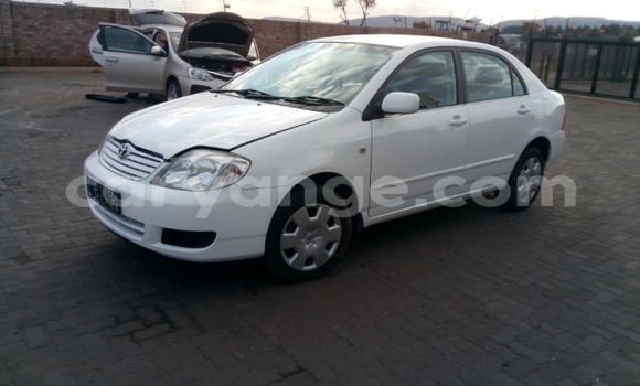 Acheter Occasion Voiture Toyota Corolla Blanc à Windhoek, Namibie Acheter Occasion Voiture Toyota Corolla Blanc à Windhoek, Namibie